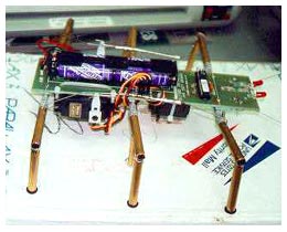 Kevin Carter's hexapod